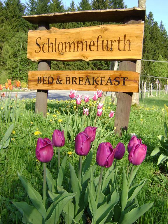 Bed and Breakfast Bed&Breakfast Schlommefurth St. Vith Exterior foto